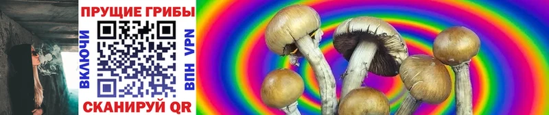 МЕГА вход  Ясный  Псилоцибиновые грибы Psilocybine cubensis 