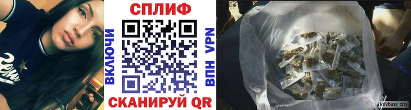 Шишки марихуана планчик  Ясный 